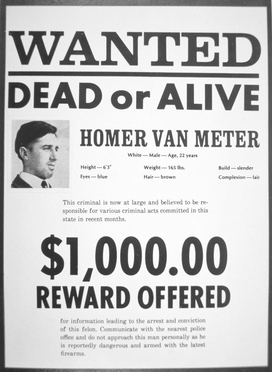 Wanted poster for Homer van Meter by American School