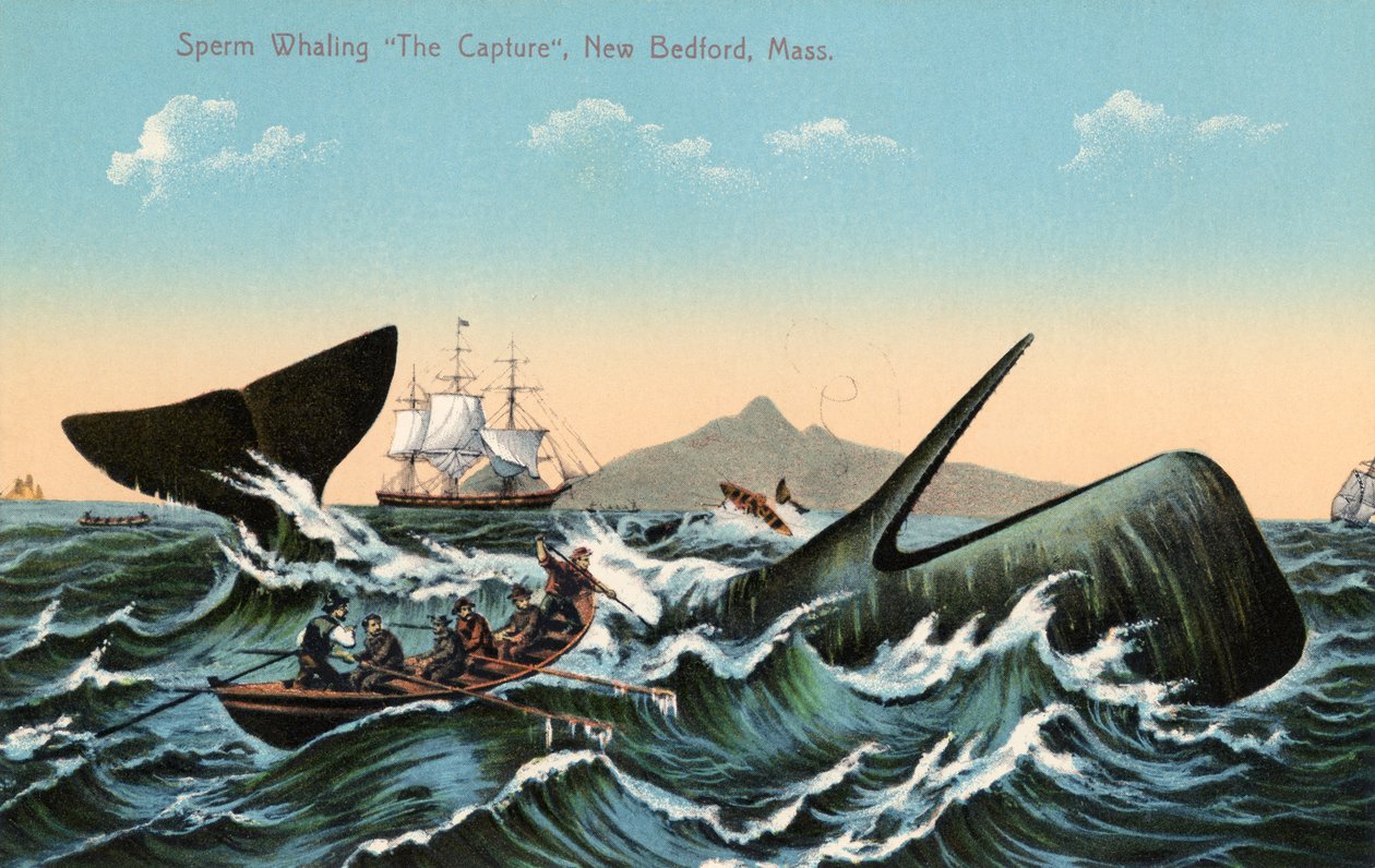 Whalers Harpooning a Sperm Whale Off New Bedford, Massachusetts by American School