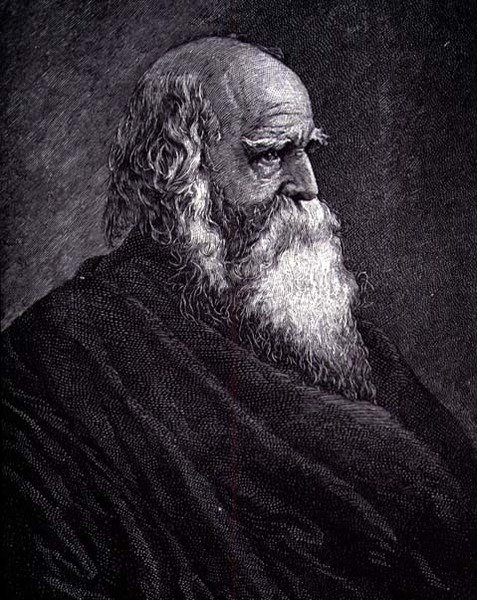 William Cullen Bryant by American School