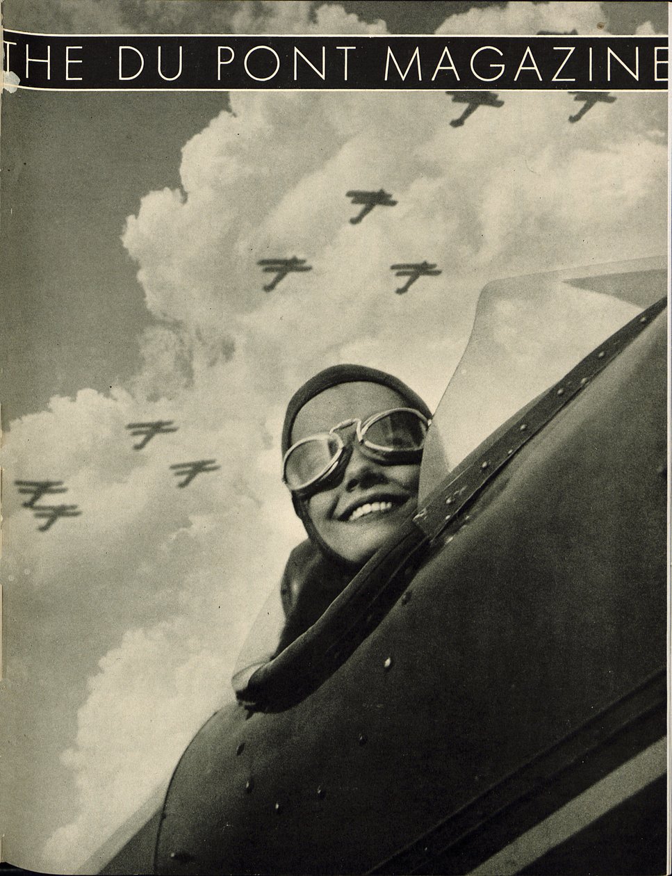 Wings Aloft by American School