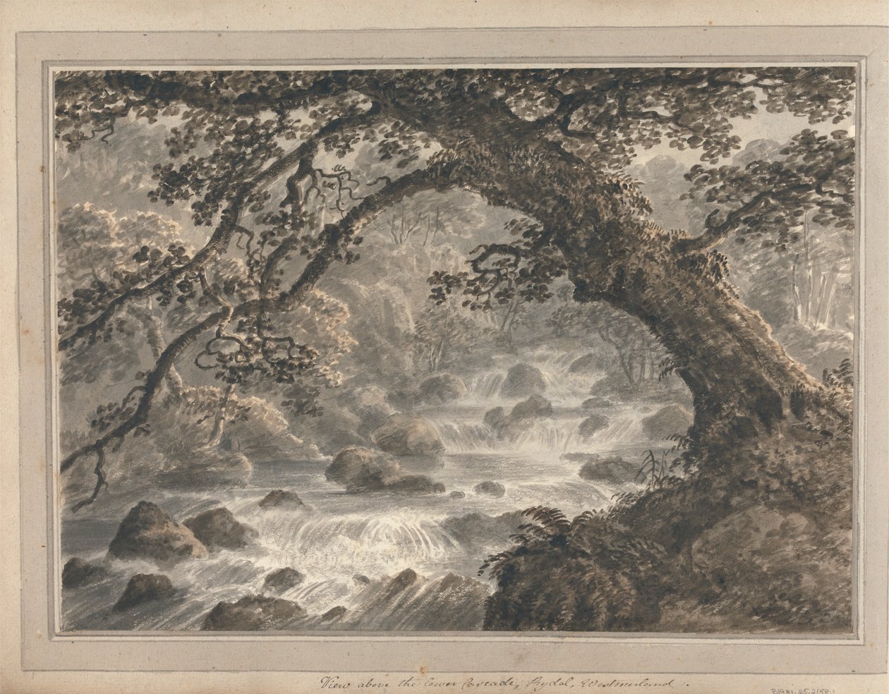 View about the Lower Cascade, Rydal Westmorland by Amos Green