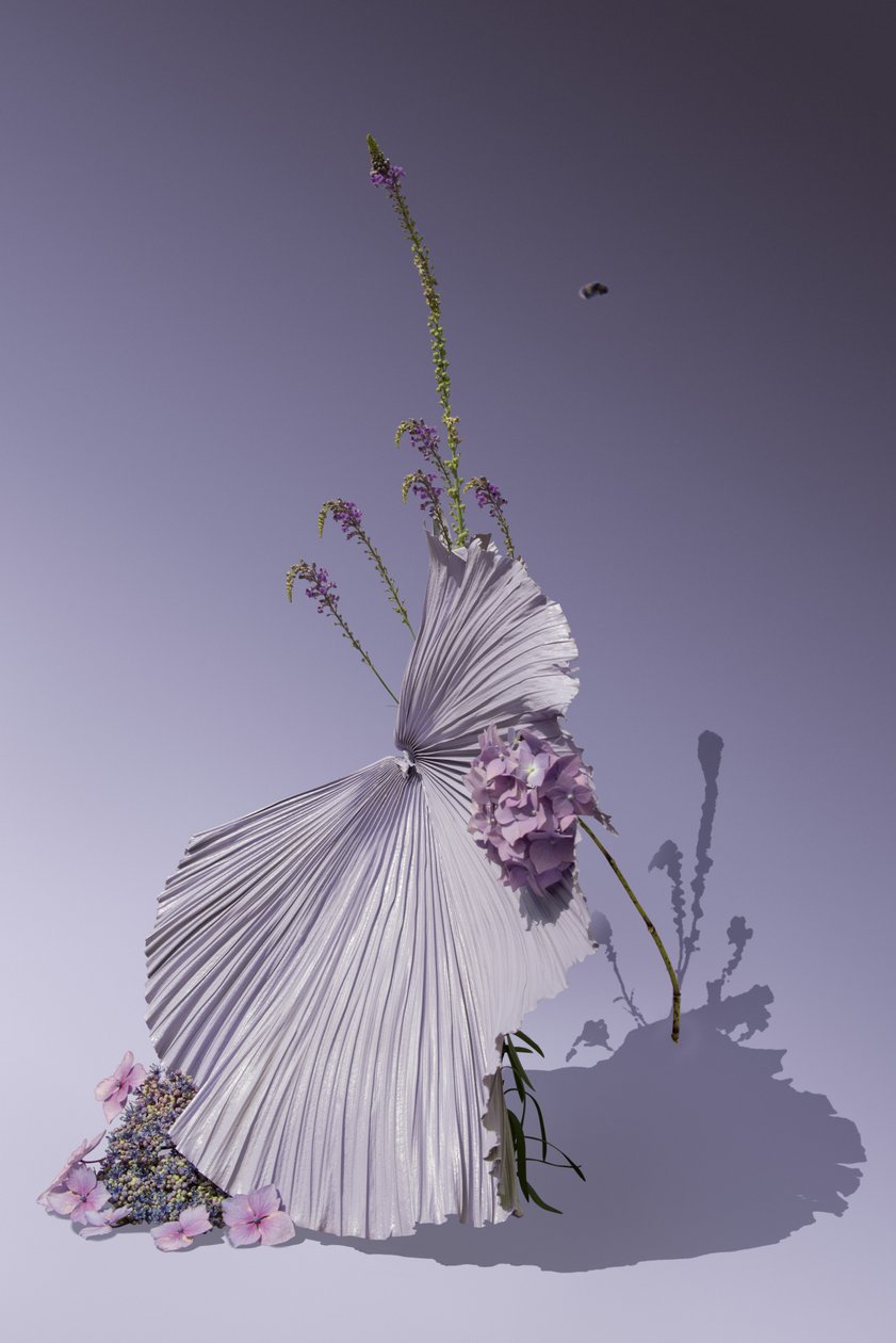 Ikebana 01, 2018 by Ana Carolina Tavares Mizrahi