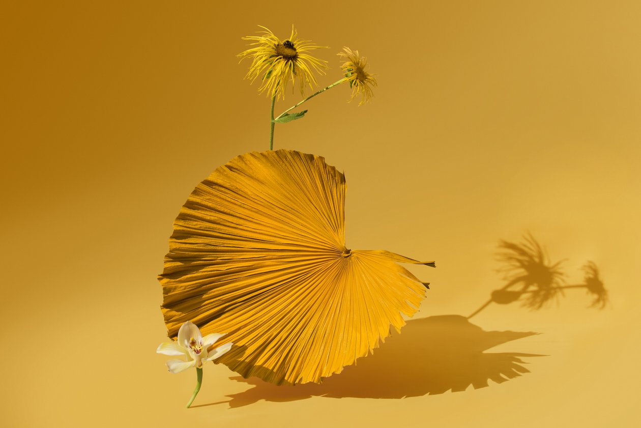 Ikebana 05 by Ana Carolina Tavares Mizrahi