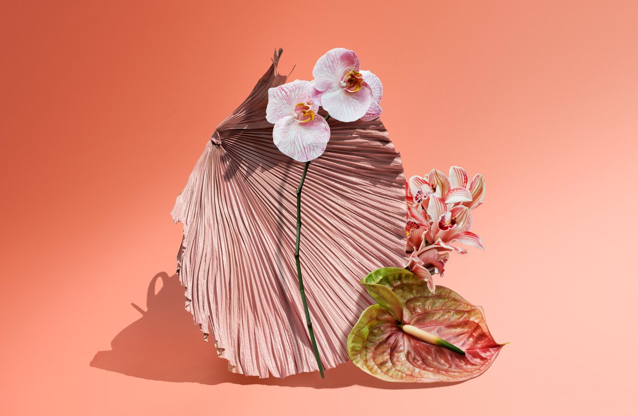Ikebana 06, 2018 by Ana Carolina Tavares Mizrahi