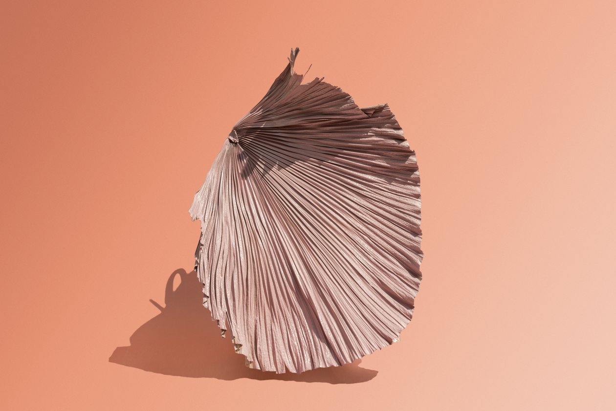 Ikebana 07, 2018 by Ana Carolina Tavares Mizrahi