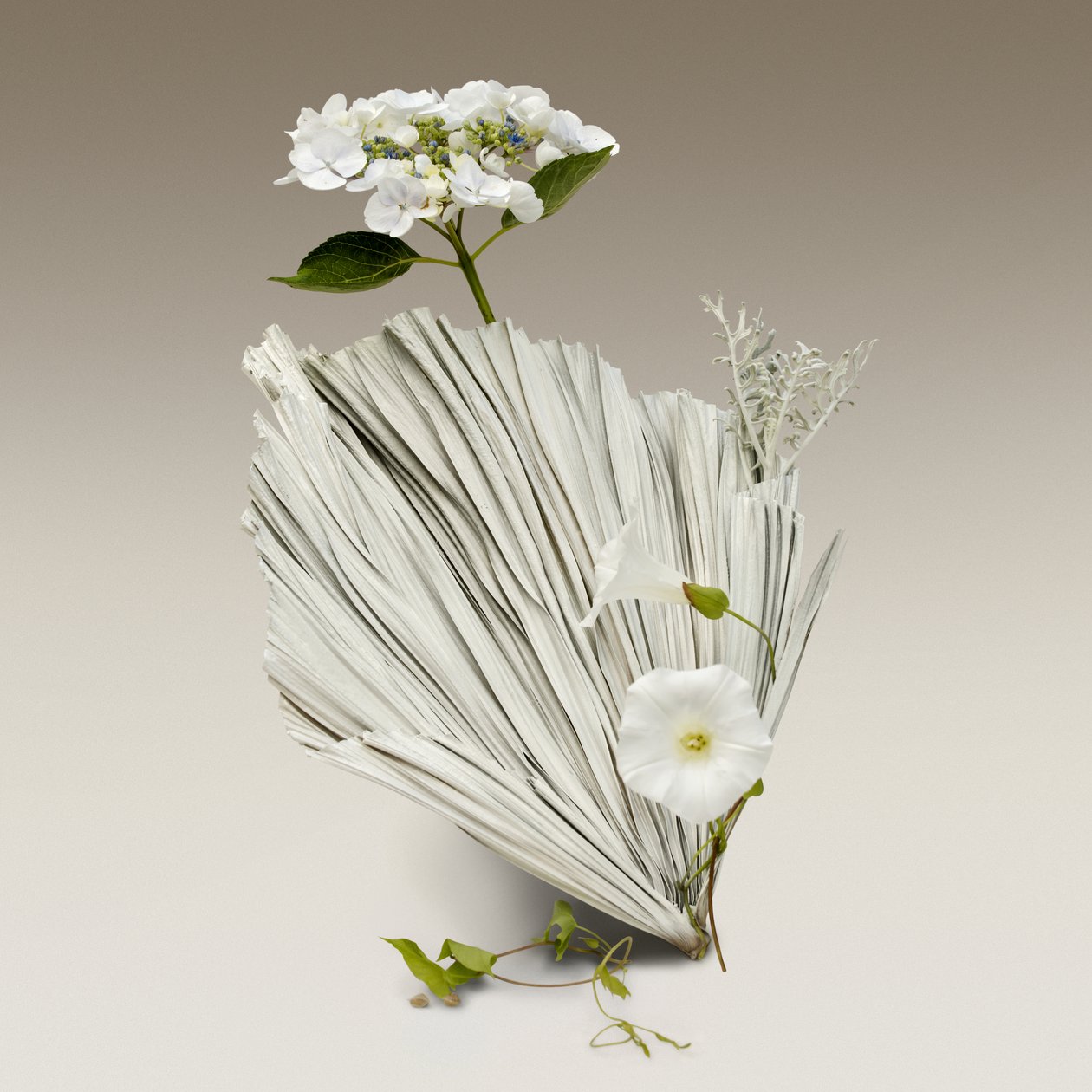 Ikebana 08, 2018 by Ana Carolina Tavares Mizrahi