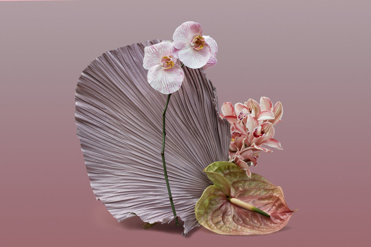 Ikebana 12, 2018 by Ana Carolina Tavares Mizrahi