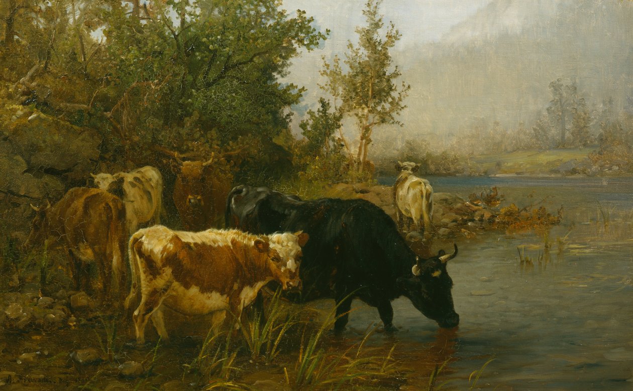 Cows by the Water by Anders Askevold
