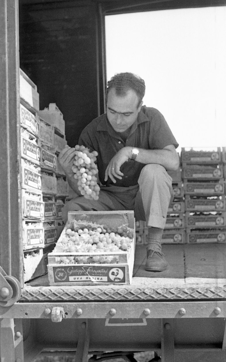 Bitter Grapes - Ready for Delivery by Ando Gilardi