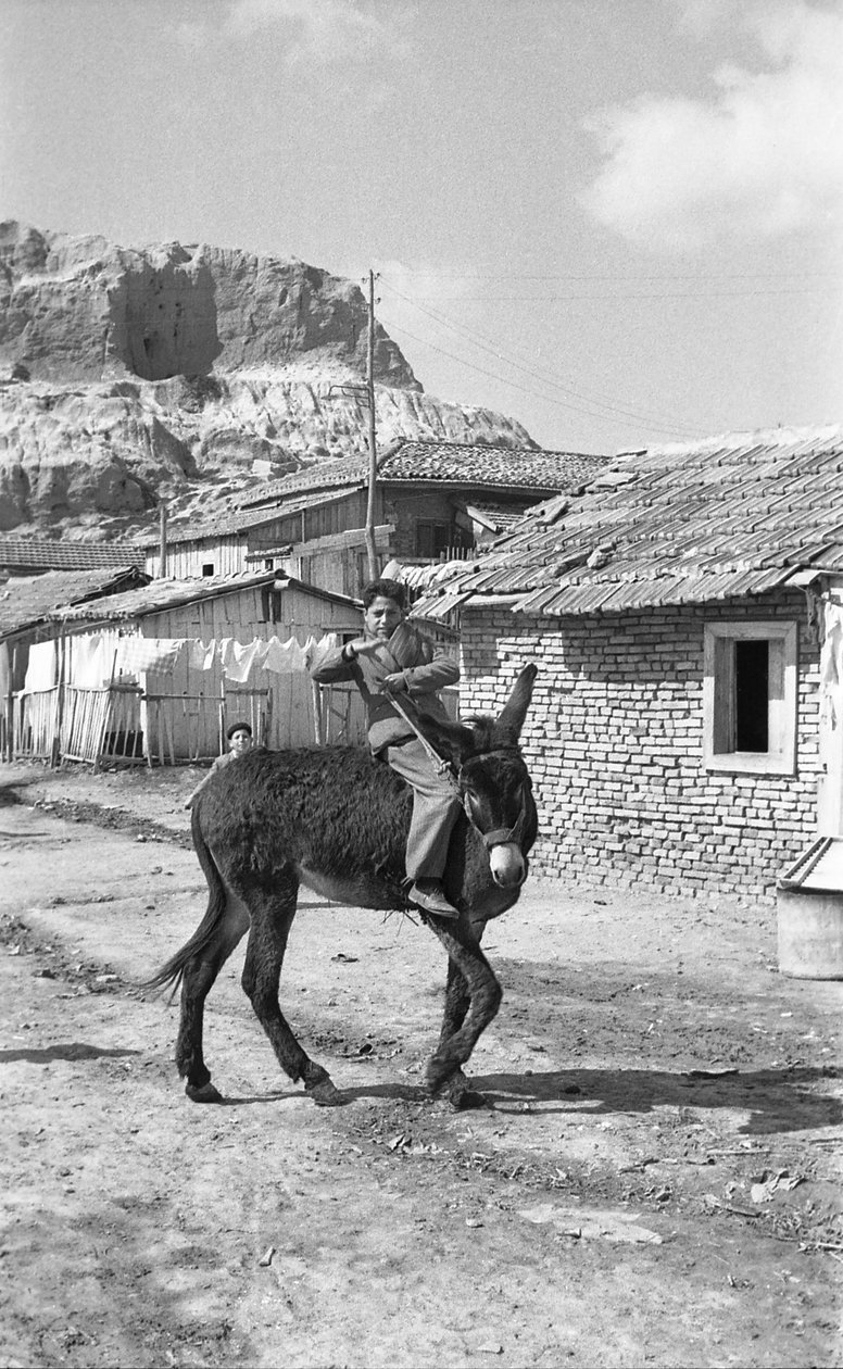 Crotone - Young Mule Driver by Ando Gilardi