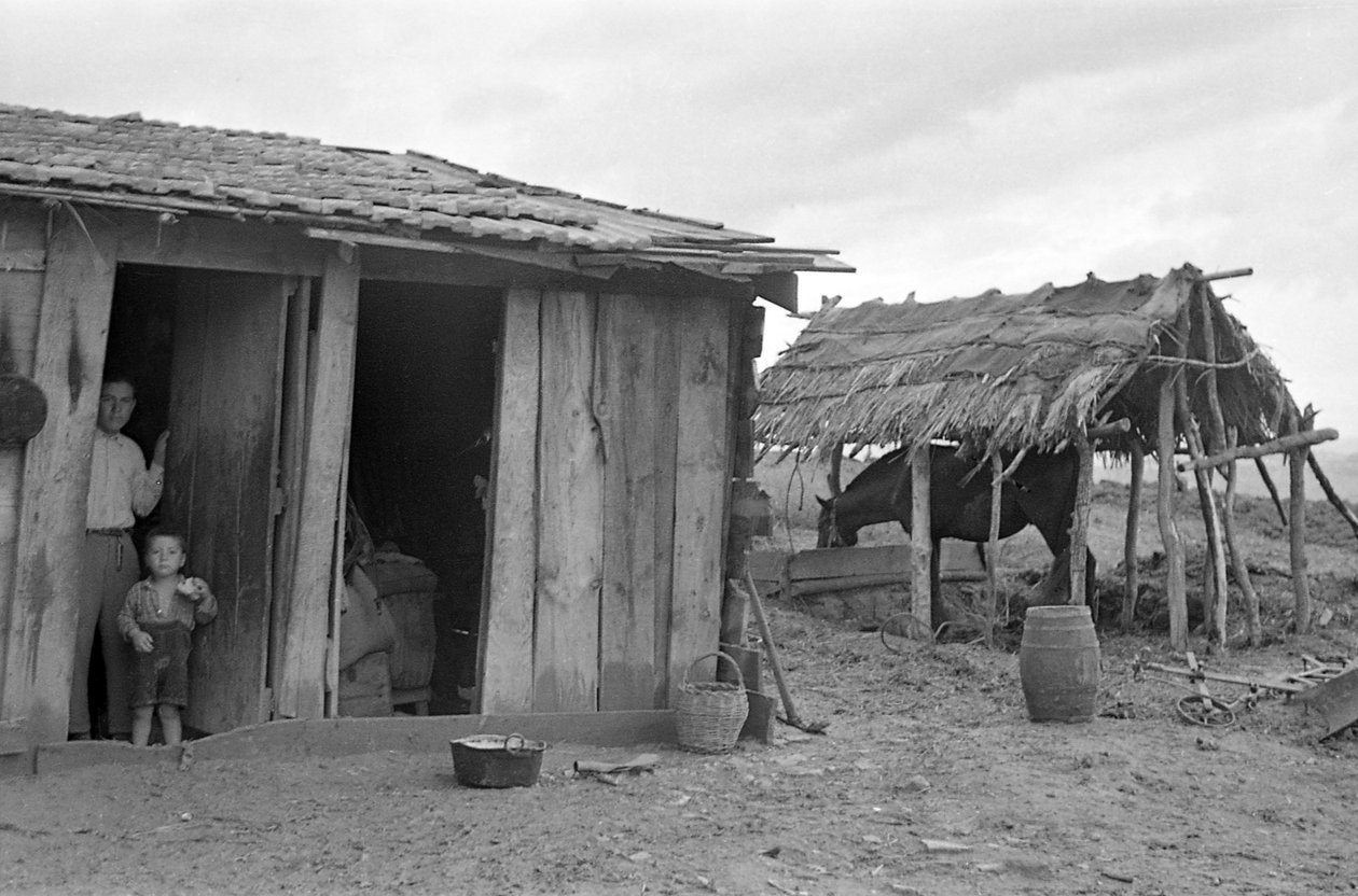 Crotone Campaign by Ando Gilardi