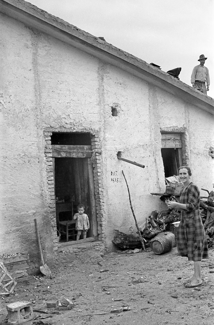 Crotone Countryside - Finally the Roof! by Ando Gilardi