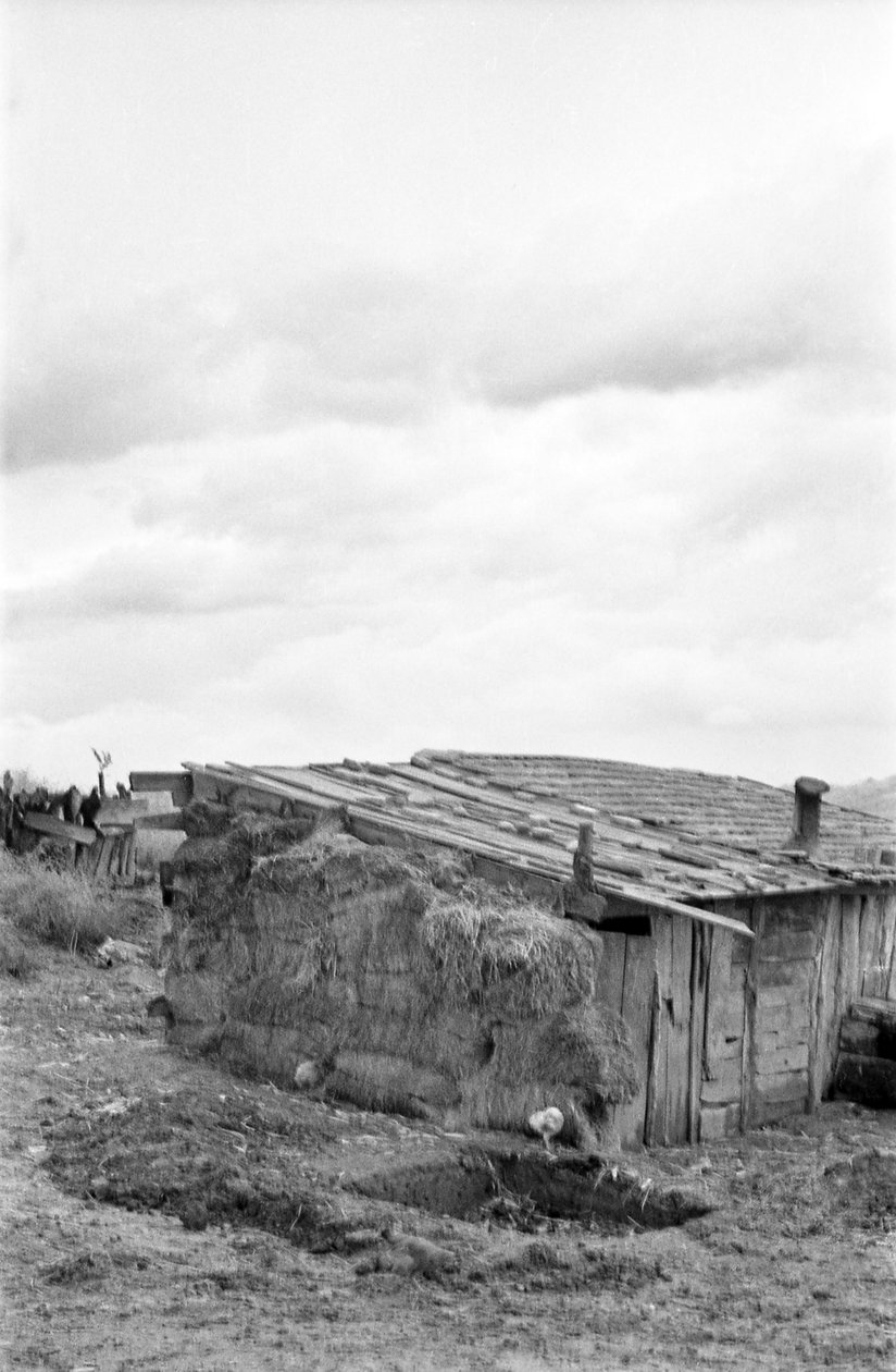 Crotone Countryside - Shack and Barn by Ando Gilardi