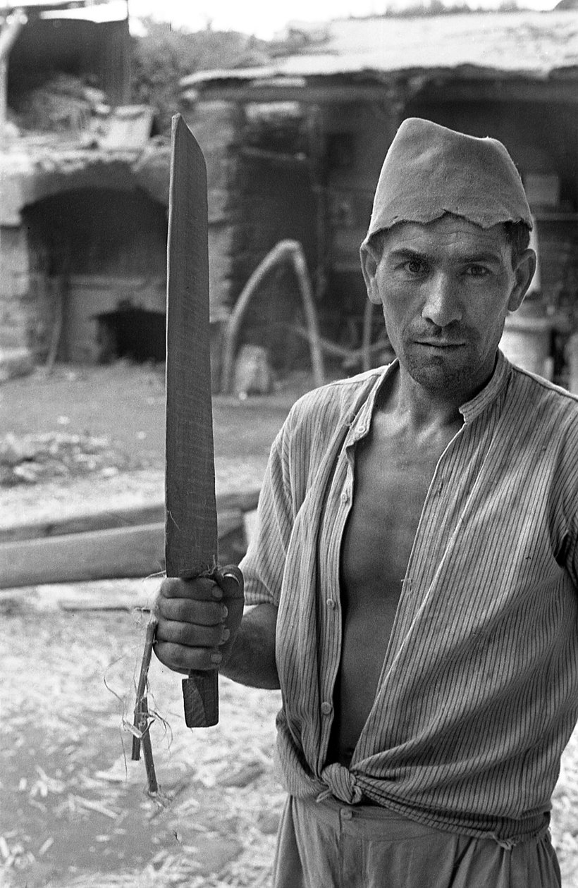 Hemp Processing, a Workman with a 