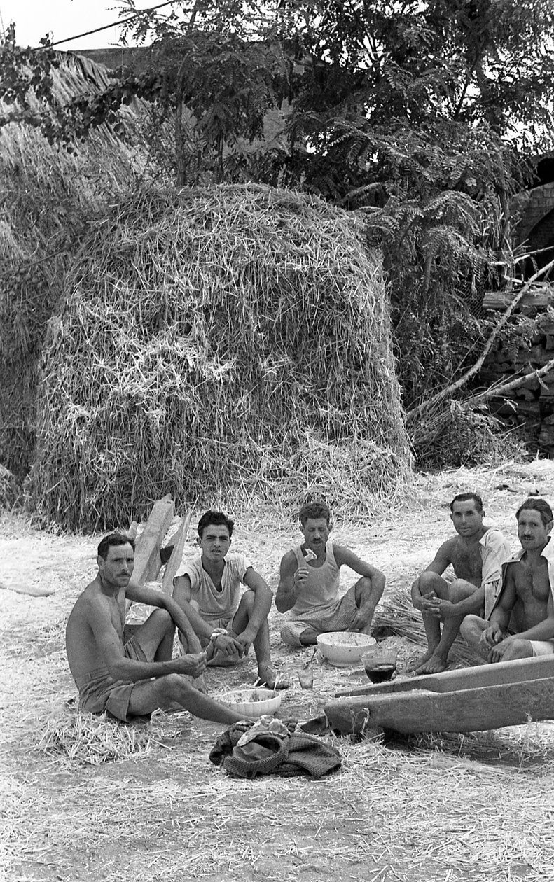 Hemp Processing, Brief Rest by Ando Gilardi