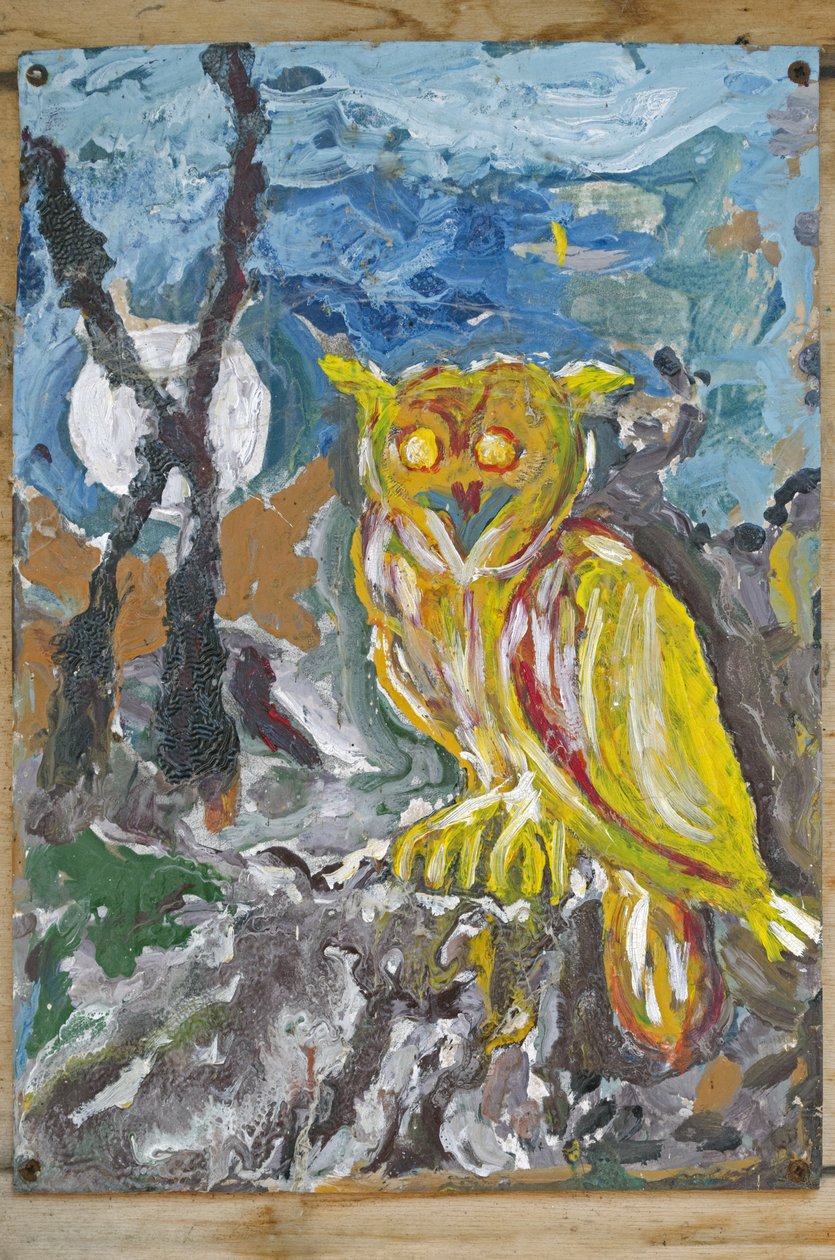 Owl by Ando Gilardi