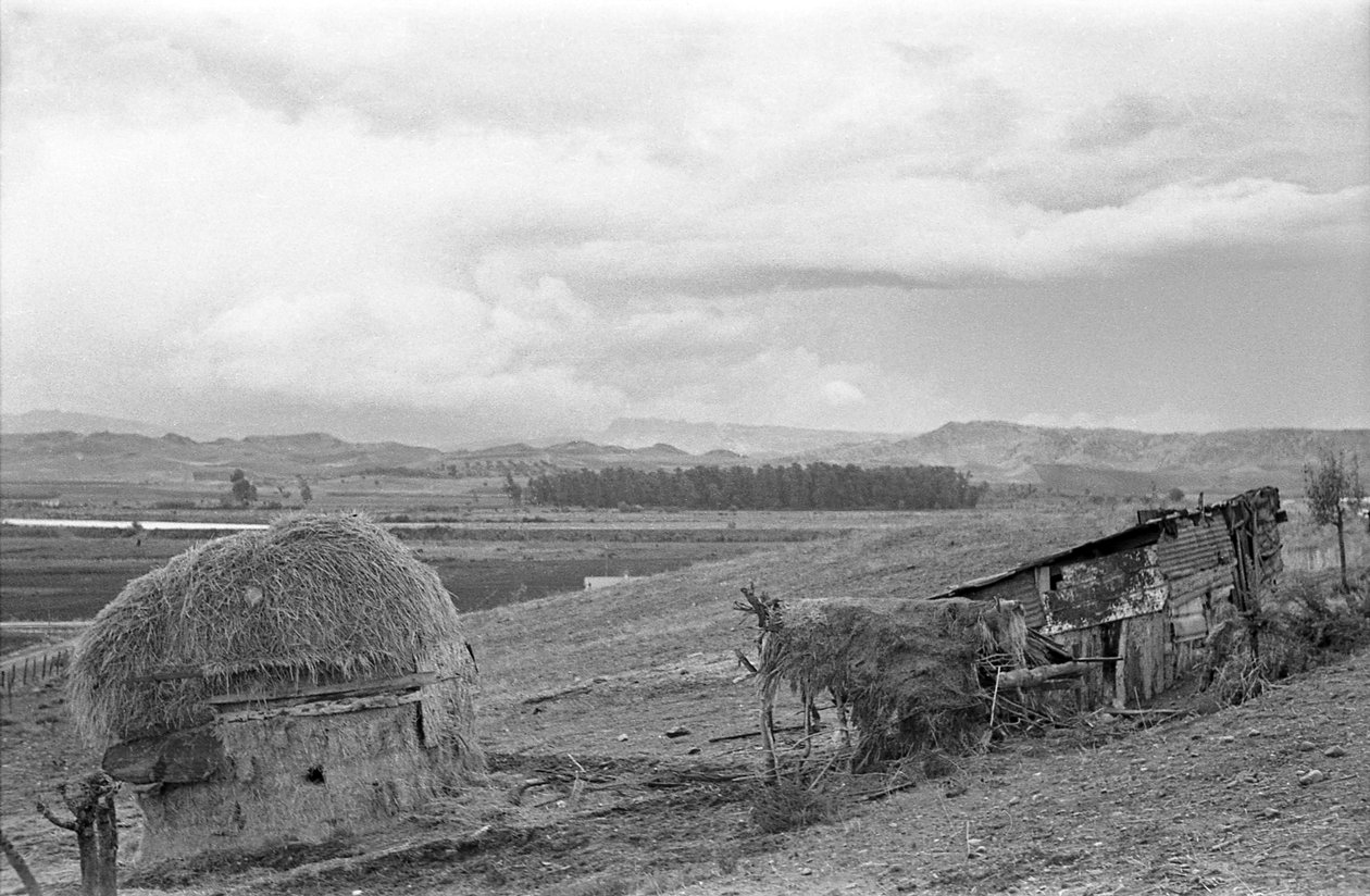 Shack with Barn by Ando Gilardi