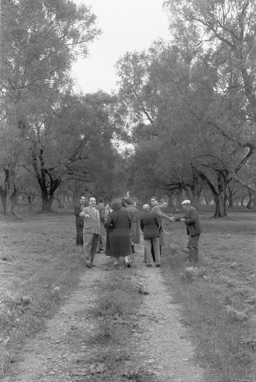 Unionists in Olive Grove by Ando Gilardi