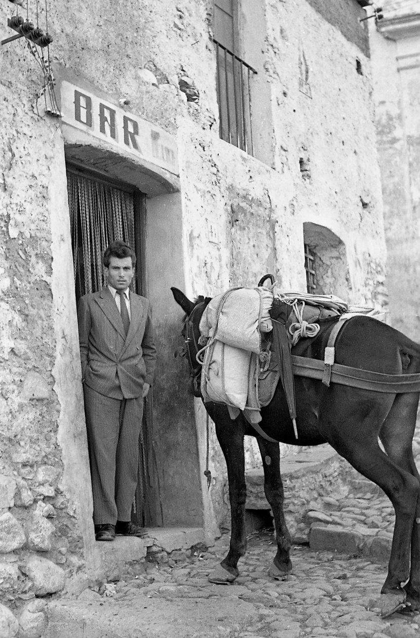 Rest with the Mule by Ando Gilardi