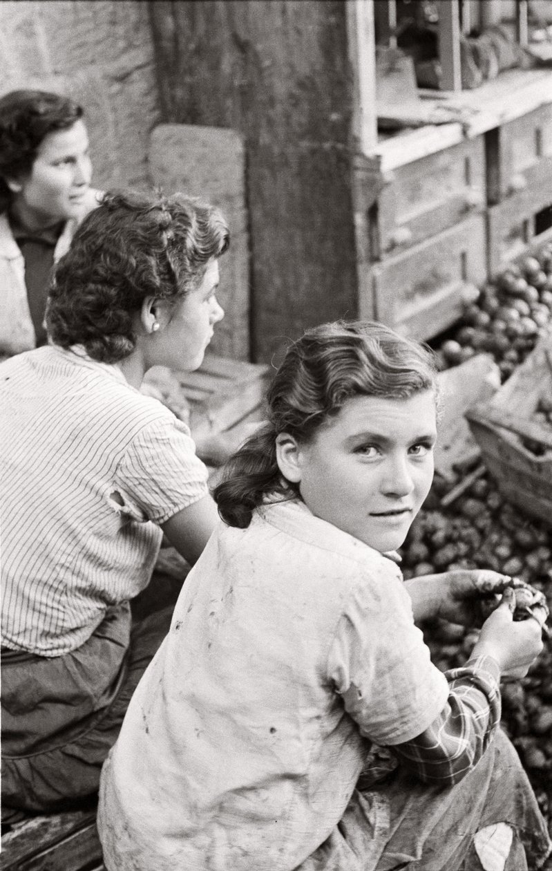 The Smile of a Young Girl Hulling Walnuts, Quaglino, Naples, Italy, c.1955 by Ando Gilardi