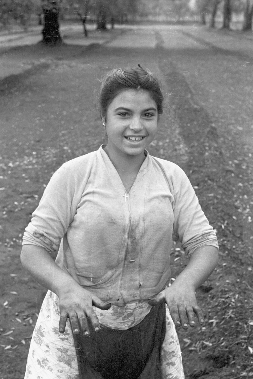 Young Olive Picker by Ando Gilardi
