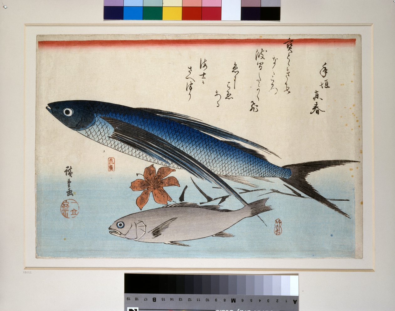 Flying Fish, Ishimochi Fish and Lily by Ando or Utagawa Hiroshige