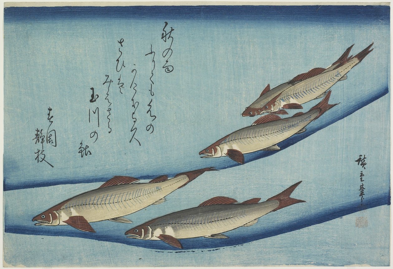 Trout by Ando or Utagawa Hiroshige