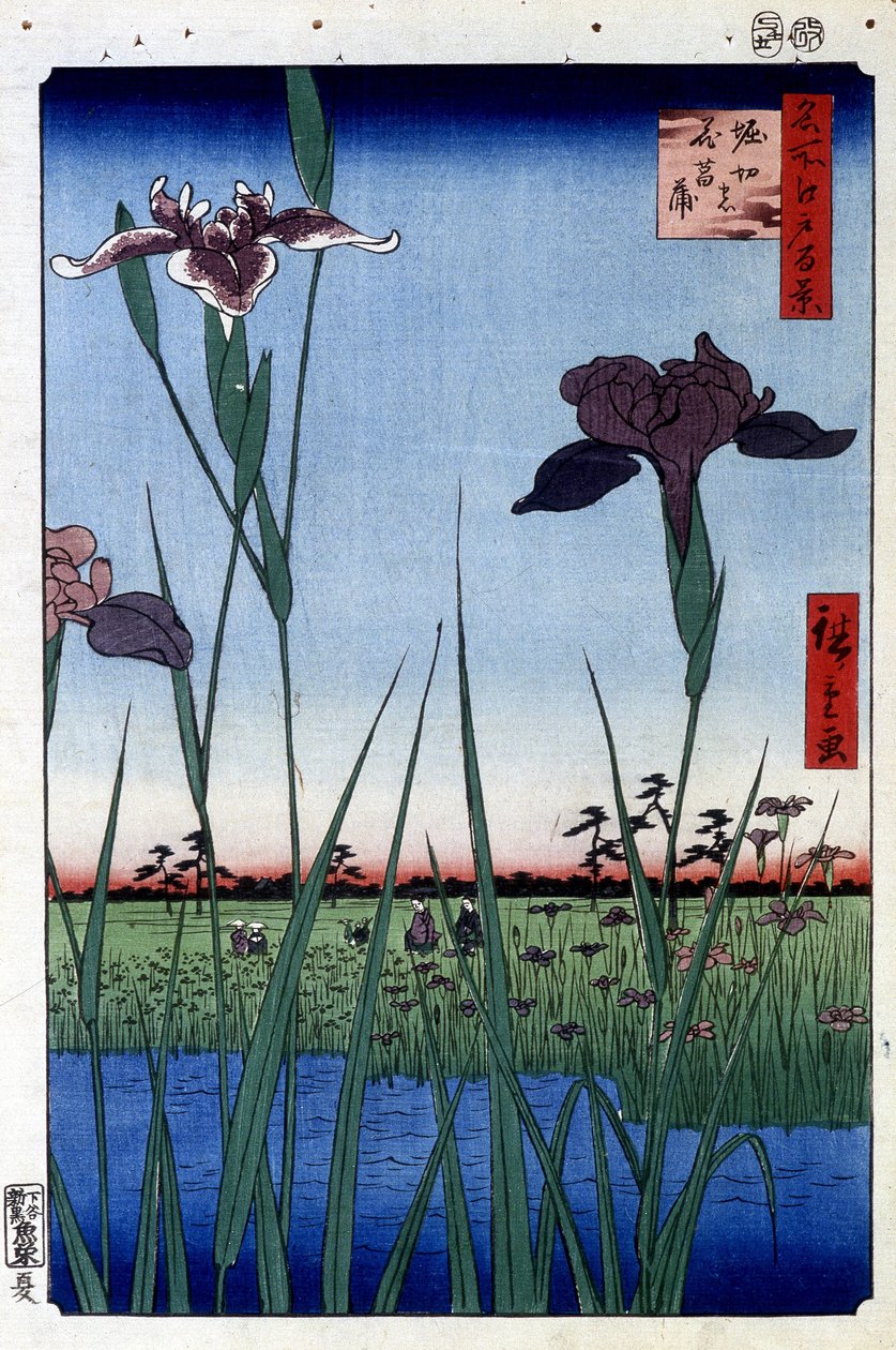 Water Iris - Japanese print by Utagawa Hiroshige. One hundred views of Edo by Ando or Utagawa Hiroshige