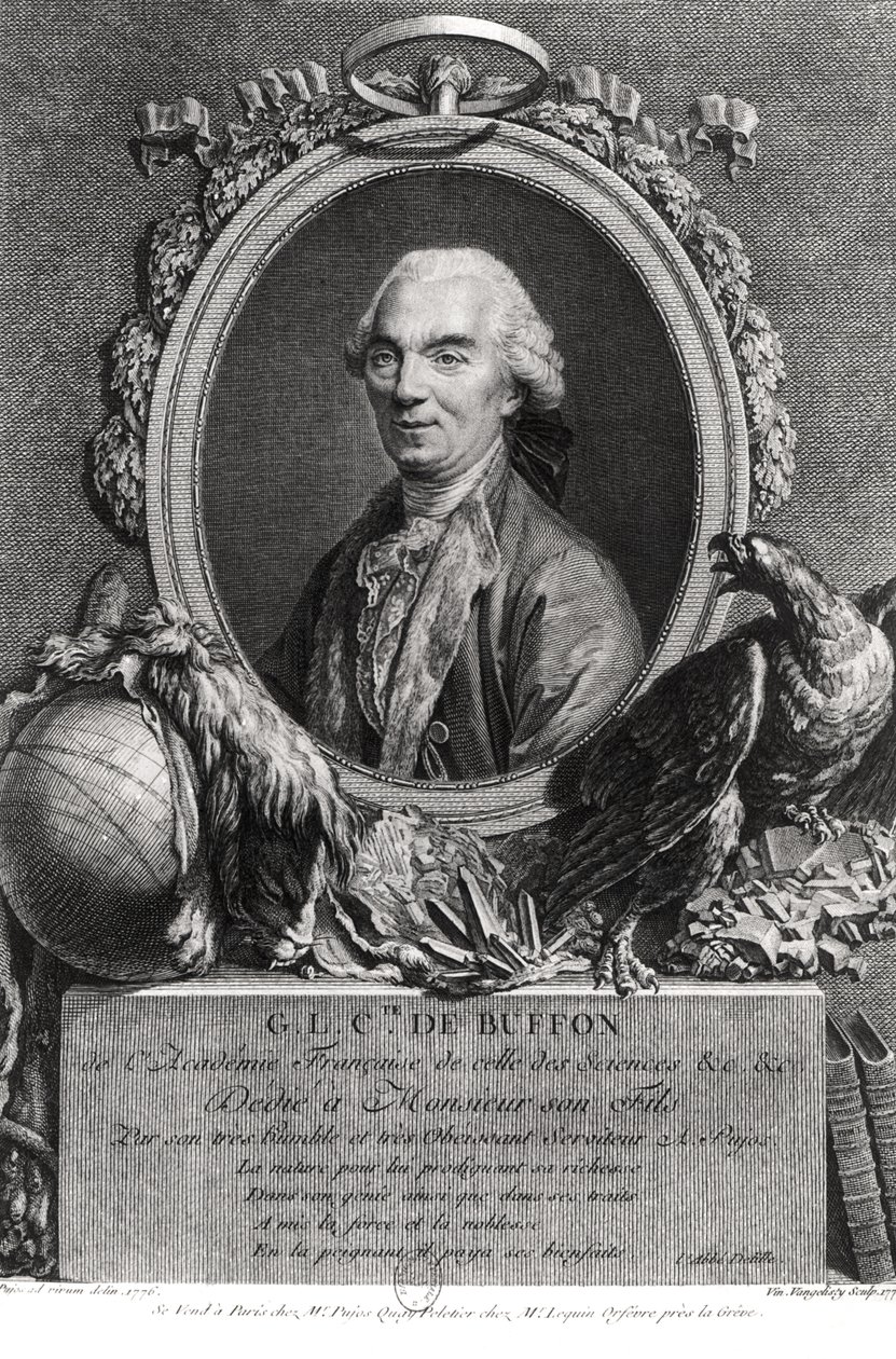 Georges-Louis Leclerc (1707-88) Comte de Buffon, engraved by Vincenzio Vangelisti (1738-98) 1777 by Andre Pujos