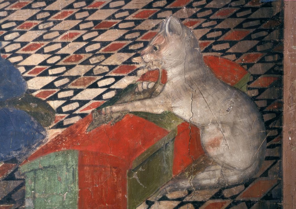 Cathedral of Atri, Cat by Andrea Delitio