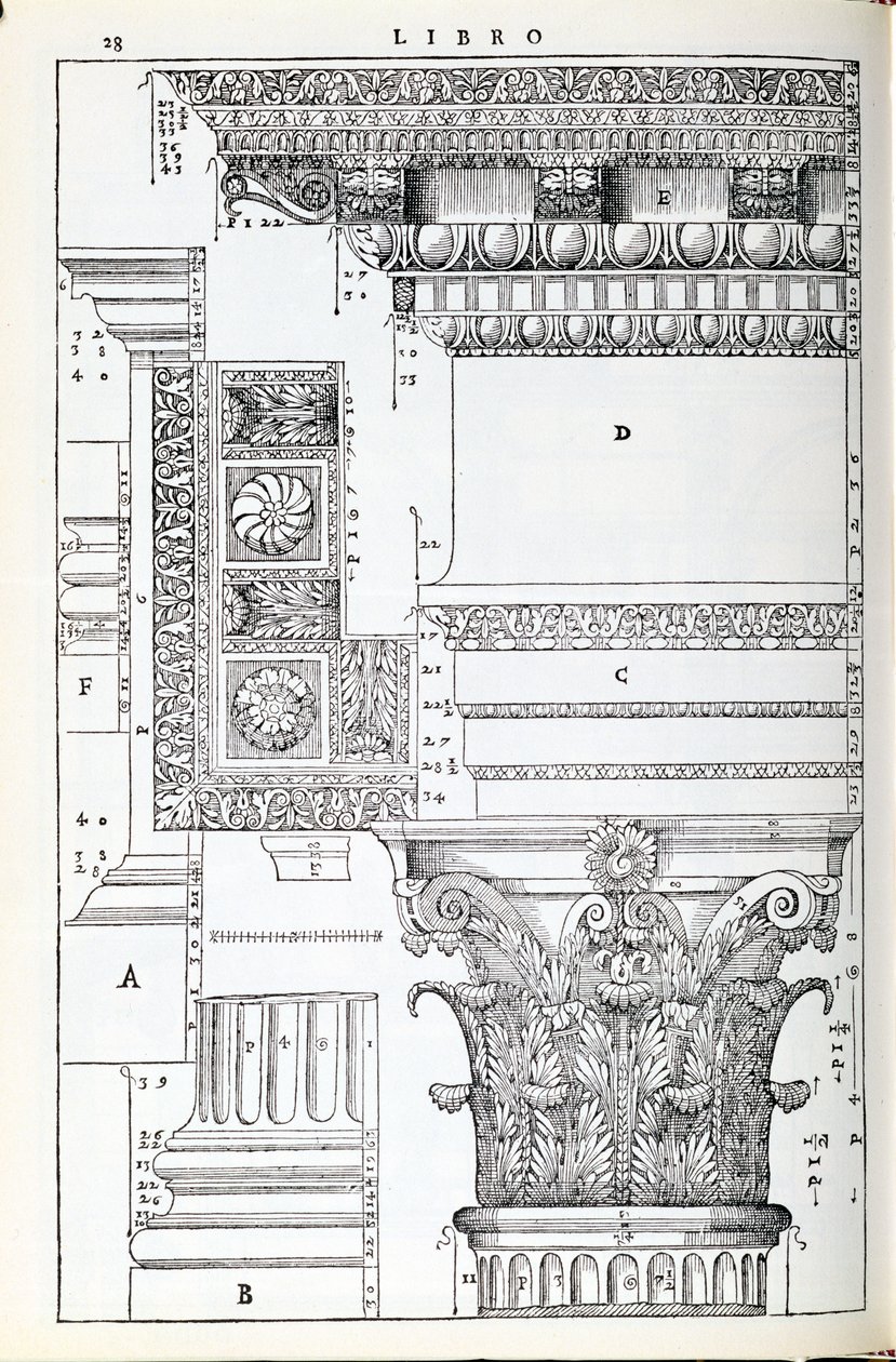 Decorative Details from the Tempio of Trajan, Illustration from a Facsimile Copy of 