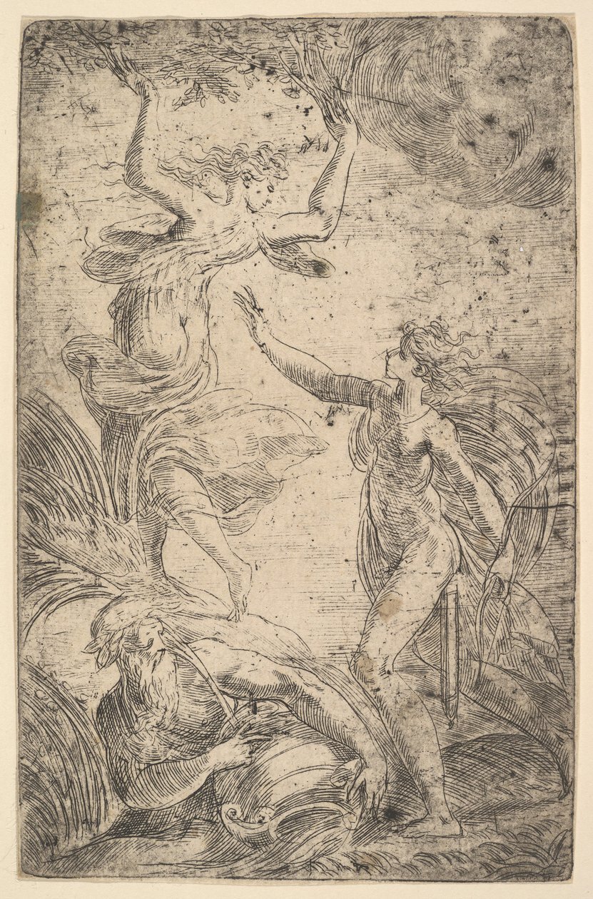 Apollo Chasing Daphne by Andrea Schiavone