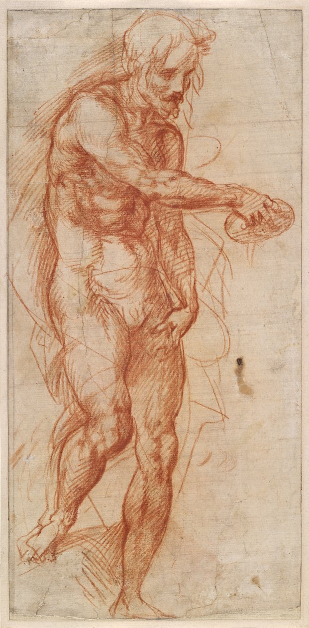 Study for St John the Baptist by Andrea del Sarto