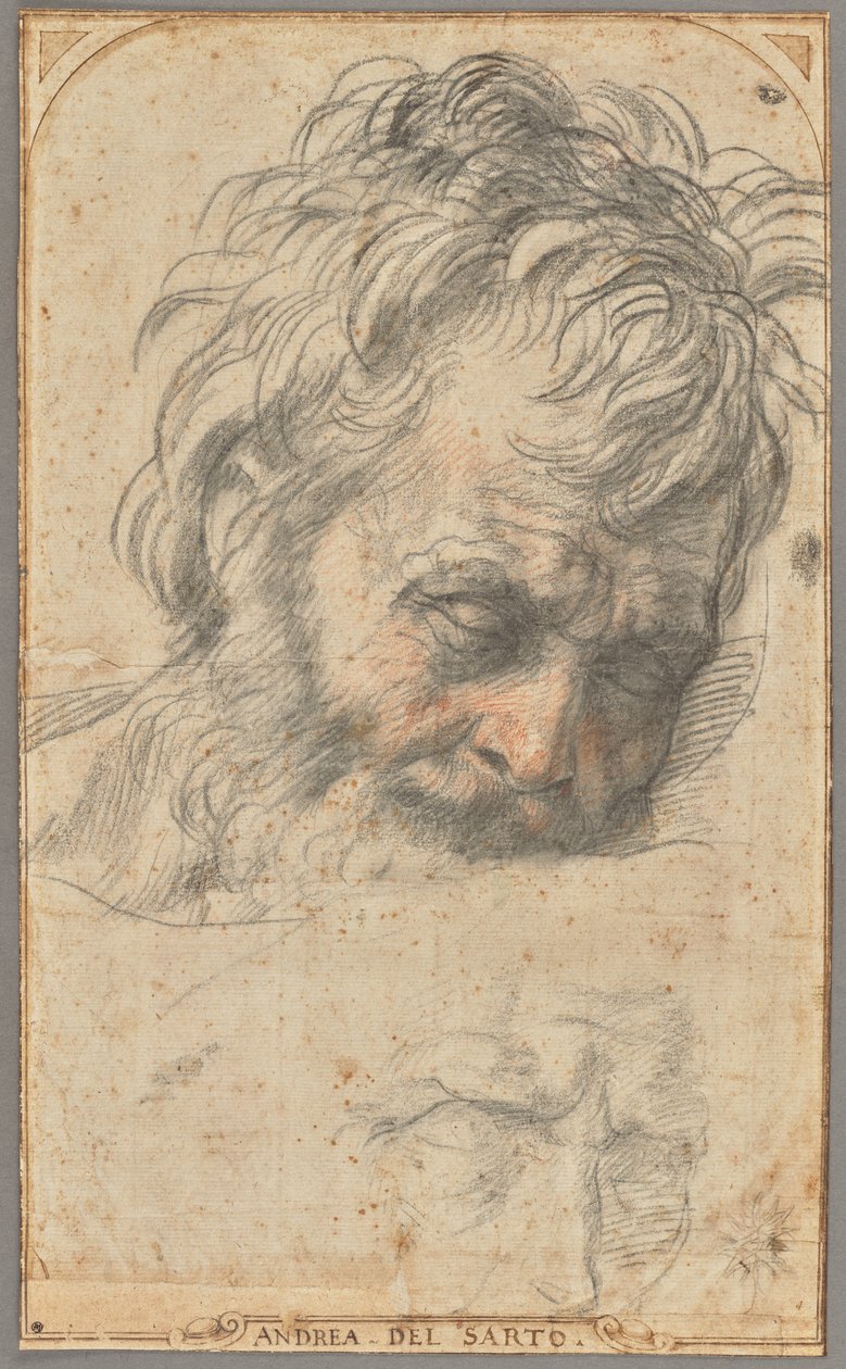 Study for the Head of Saint Joseph (recto); Two Studies of Legs (verso) by Andrea del Sarto