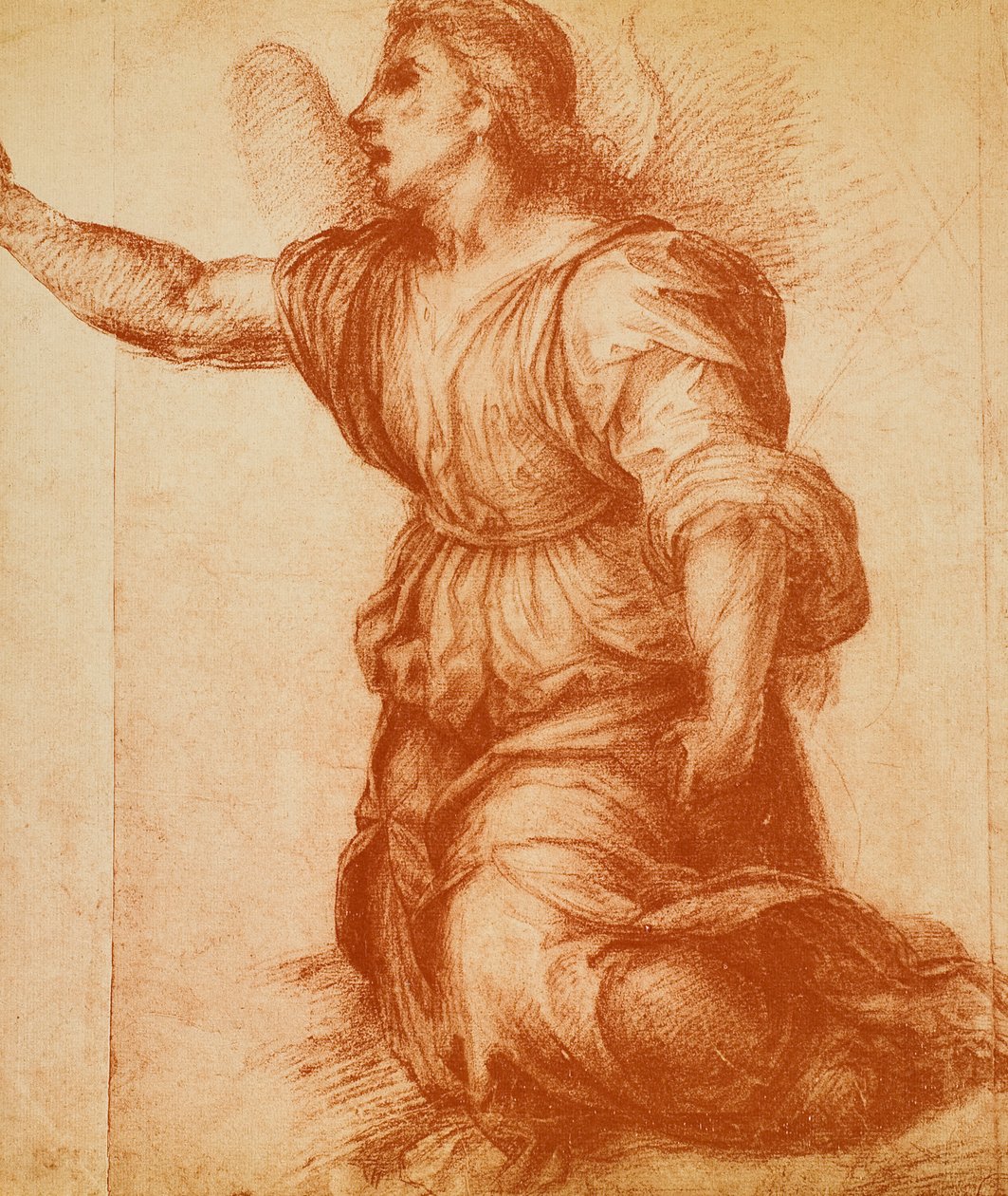 Study of an Angel by Andrea del Sarto