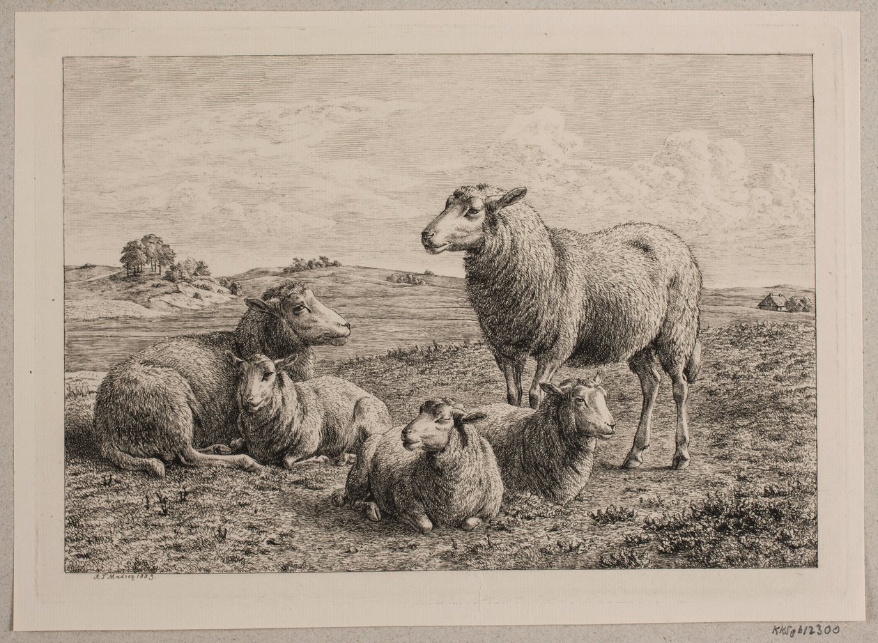 Sheep and lambs in the field by Andreas Peter Madsen