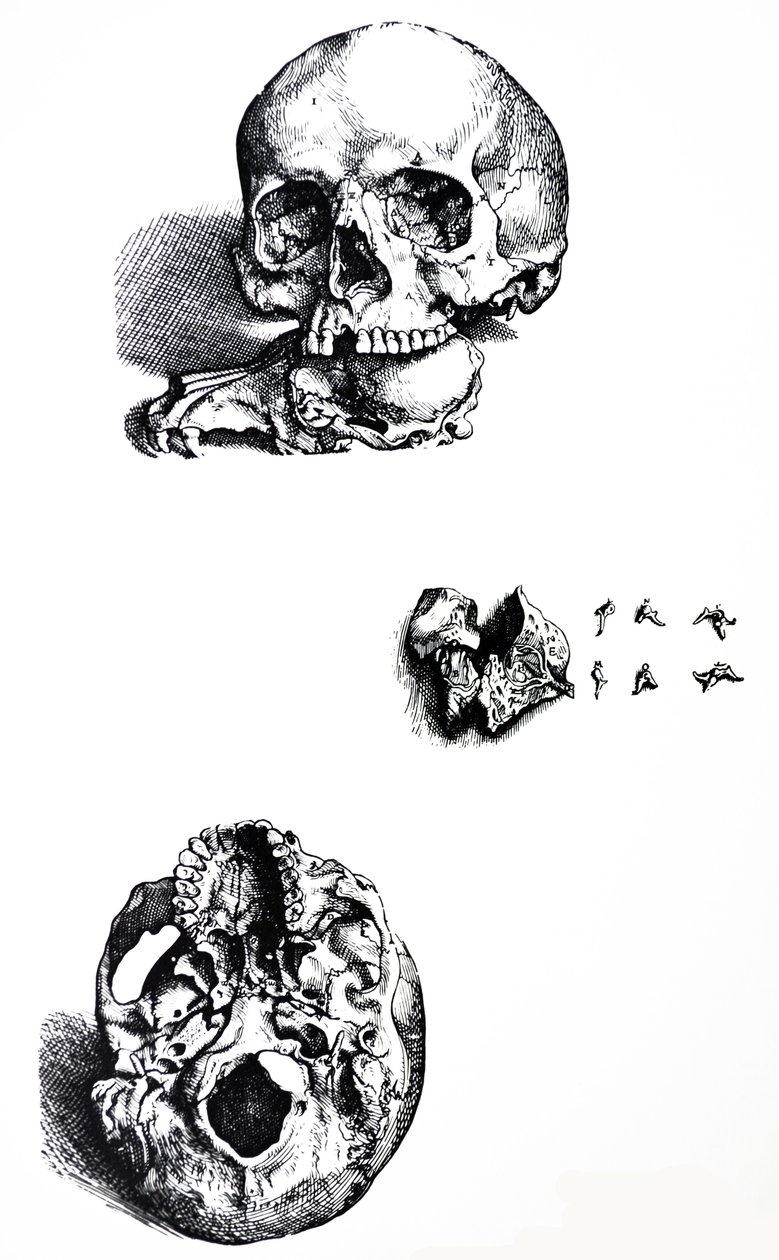 The Plates from the First Book of the De Humani Corporis Fabrica by Andreas Vesalius