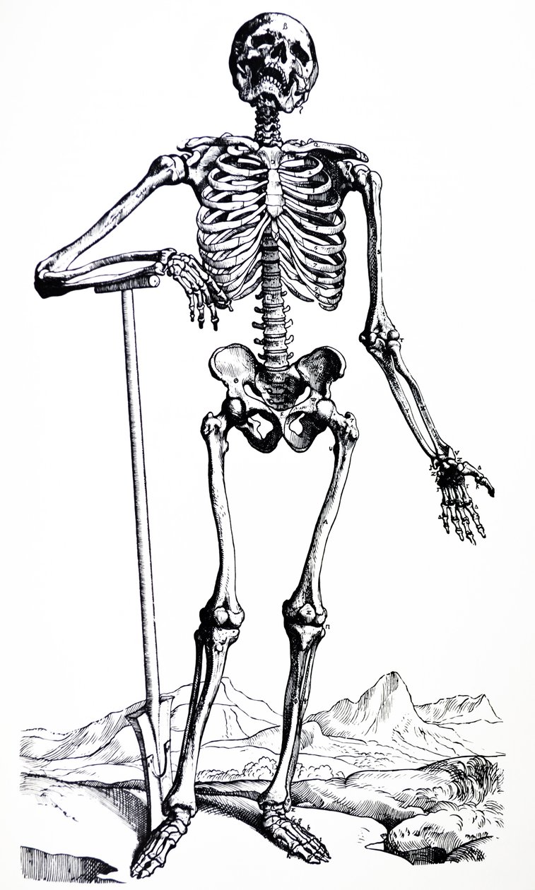 The Plates from the First Book of the De Humani Corporis Fabrica by Andreas Vesalius