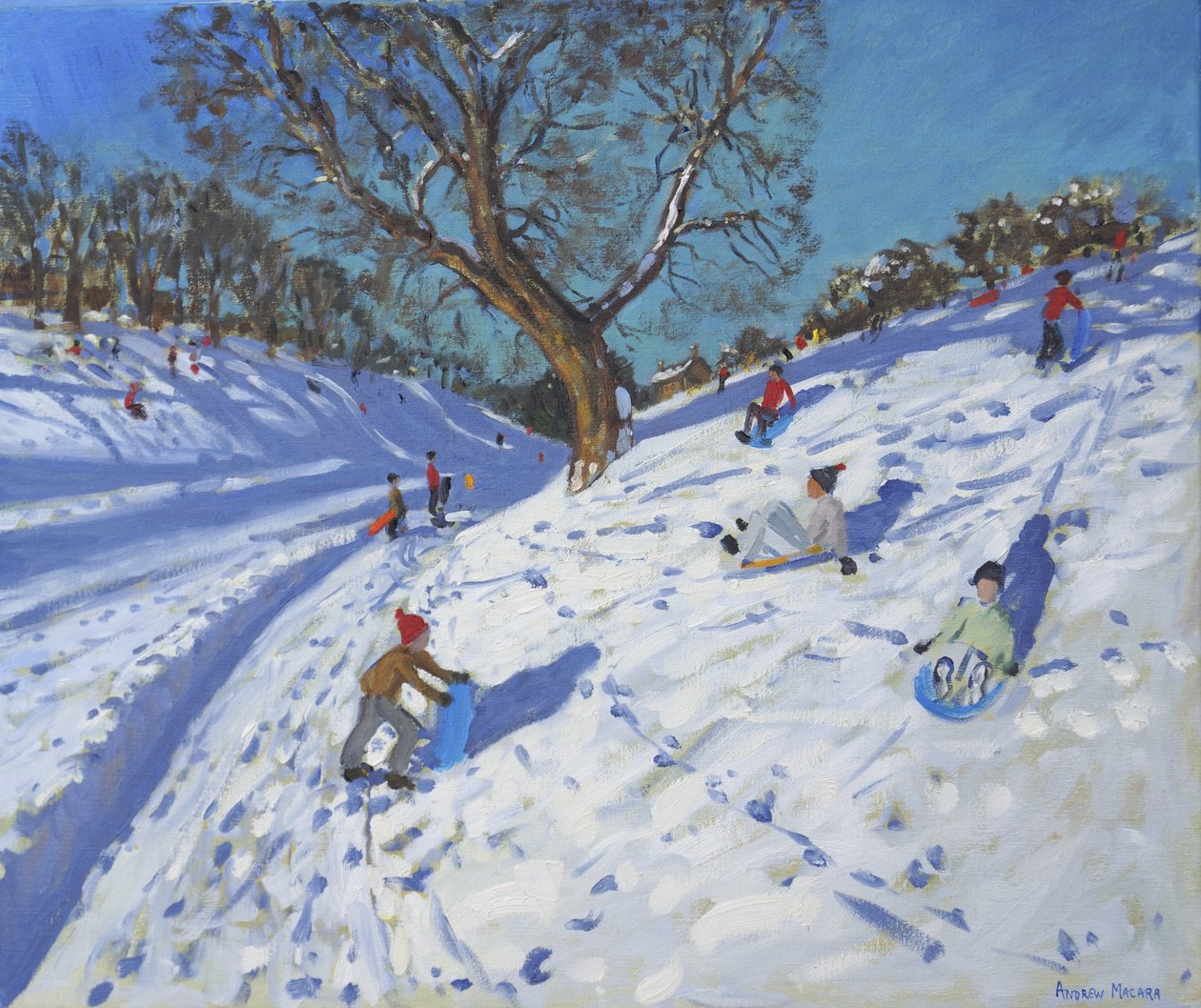 Bright morning, Chatsworth by Andrew Macara