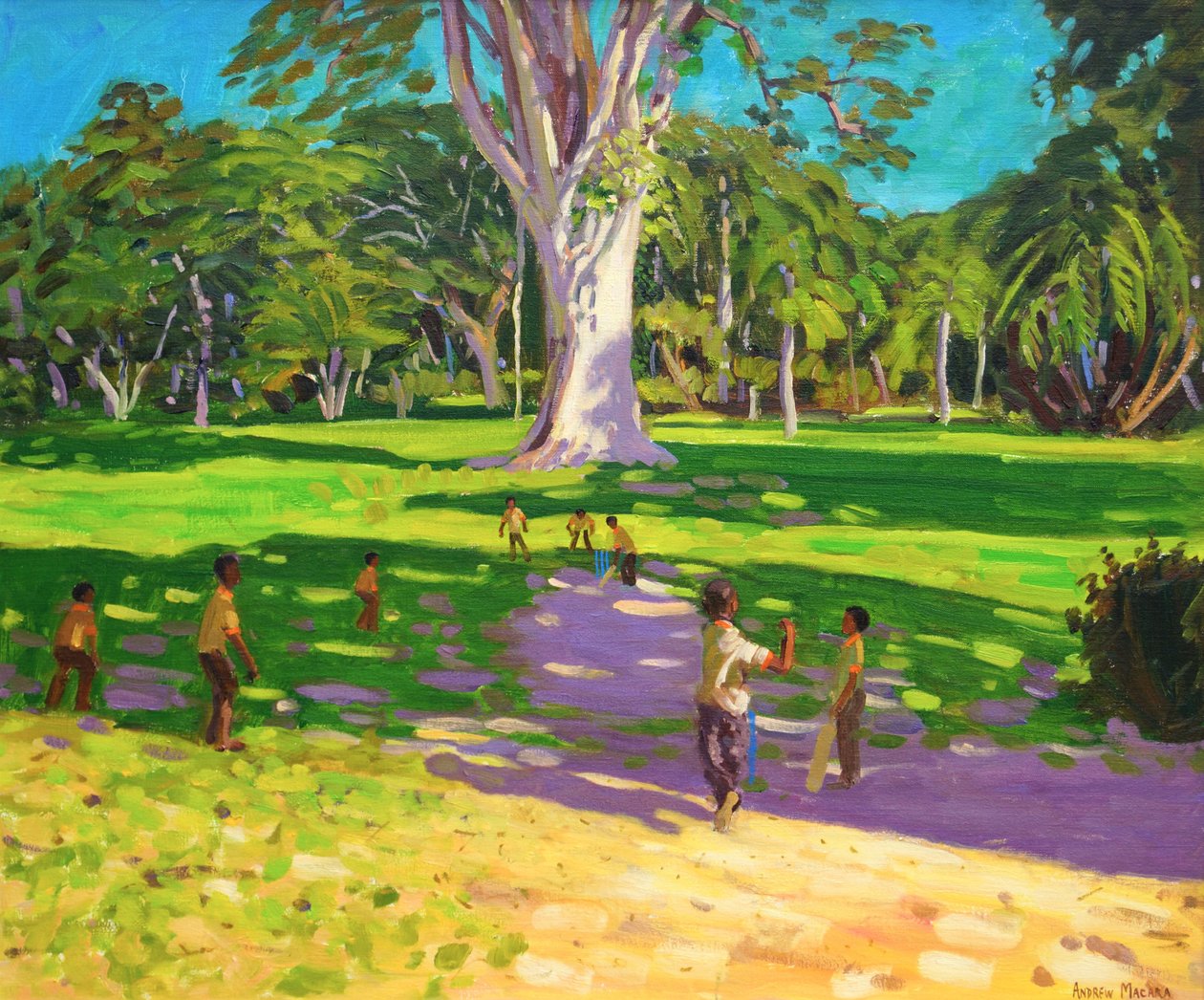Cricket Match, Botanical Gardens, Dominica, Grenadines, 2011 by Andrew Macara
