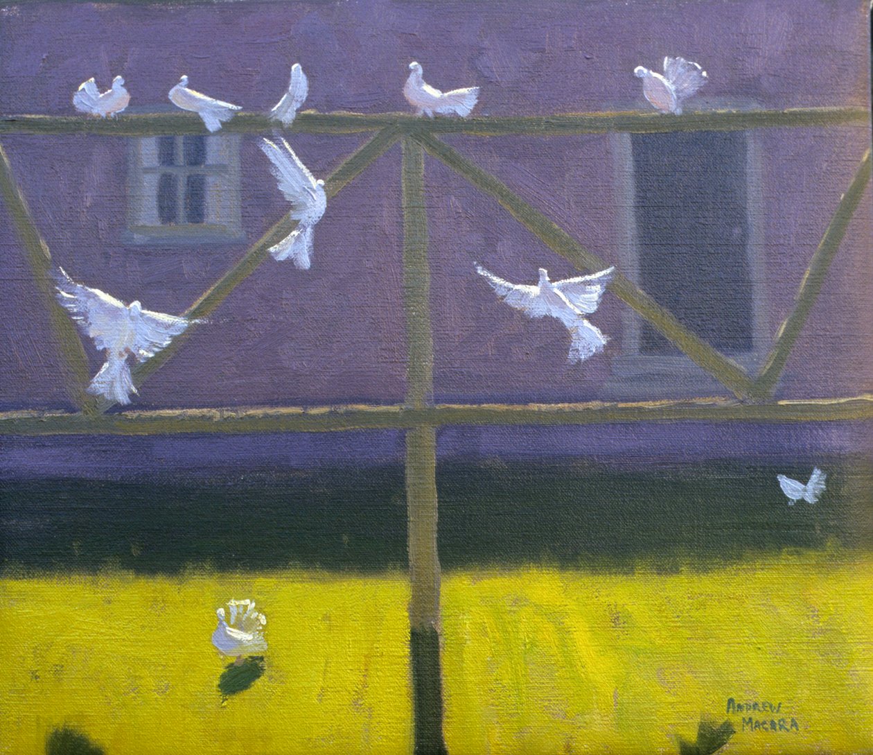 Doves, 1999 by Andrew Macara