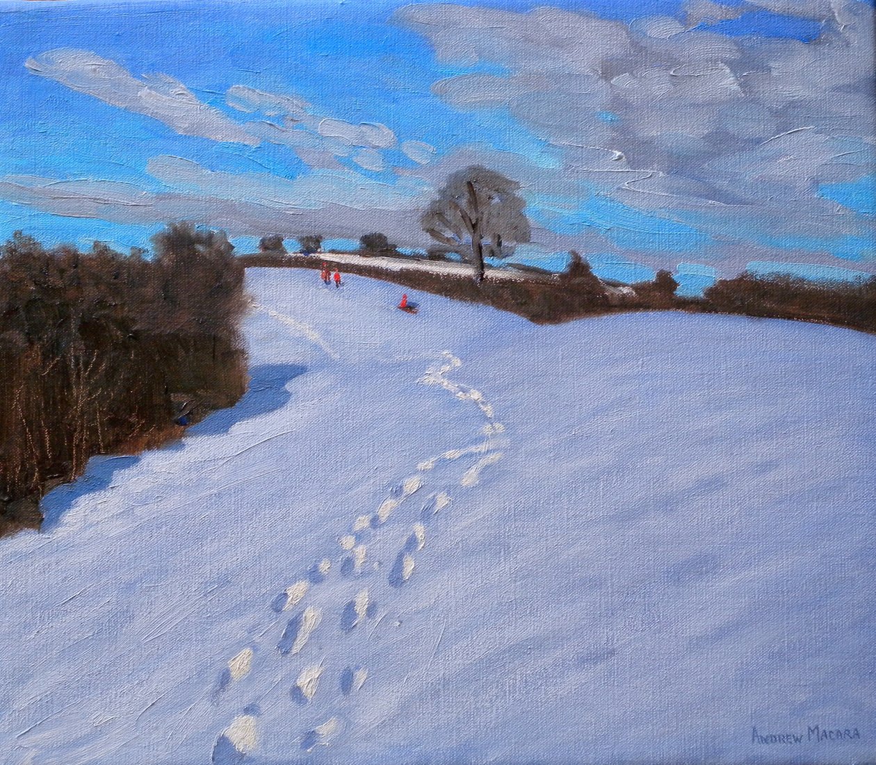 Footprints in the Snow by Andrew Macara