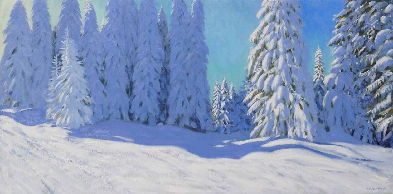 Fresh snow, Morzine, France, 2015 by Andrew Macara