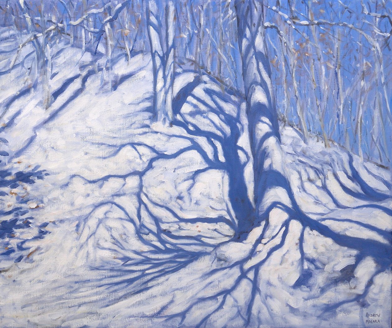 Winter Woodland, near Courcheval, 2008 by Andrew Macara