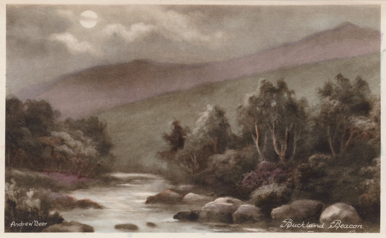 Dartmoor: Buckland Beacon by Andrew Beer