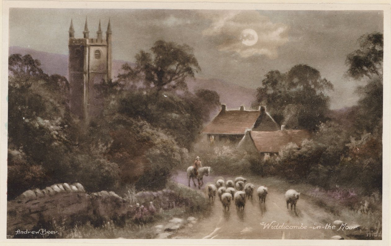 Dartmoor: Widdicombe-in-the-Moor by Andrew Beer