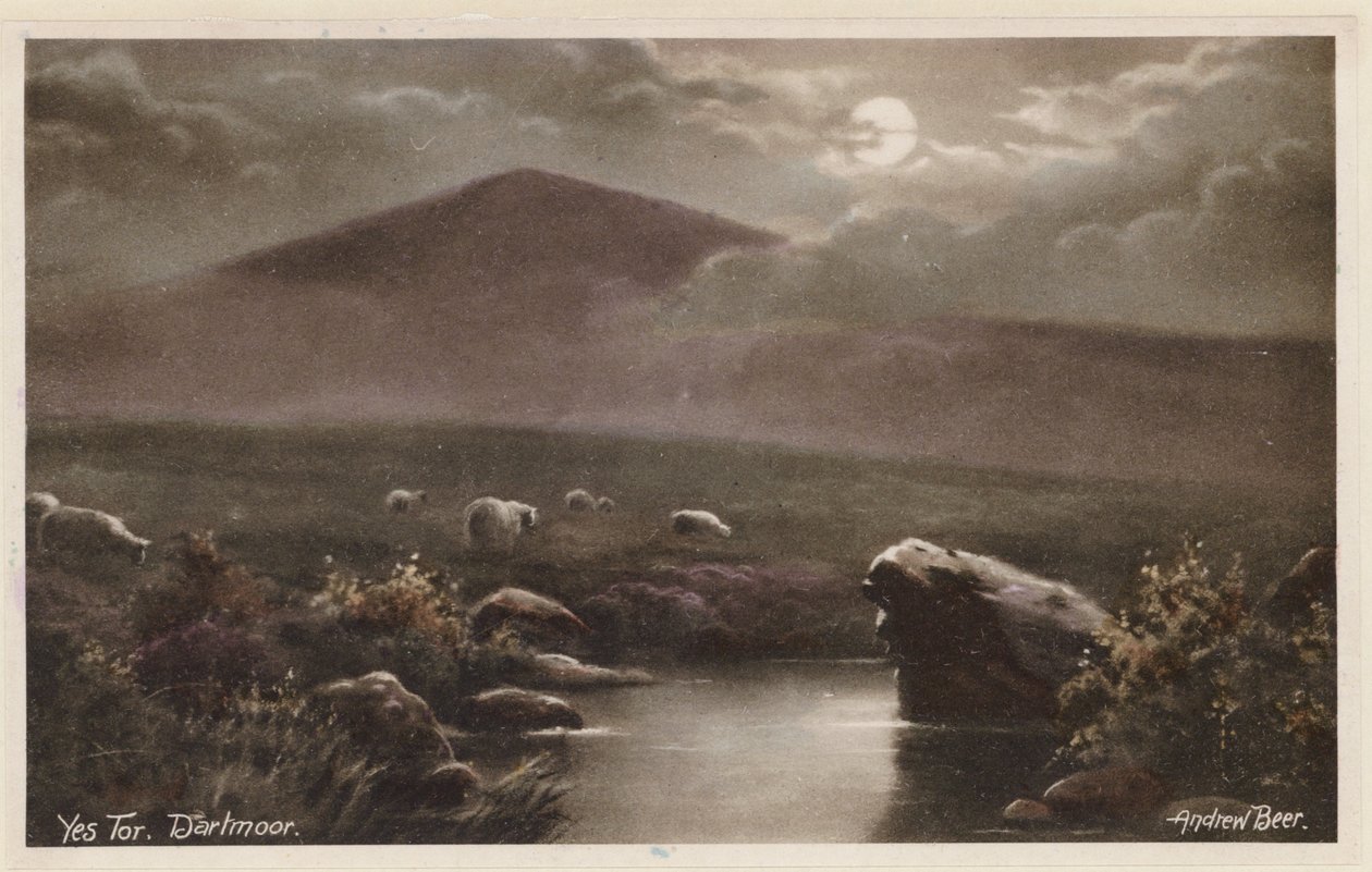 Yes Tor, Dartmoor by Andrew Beer