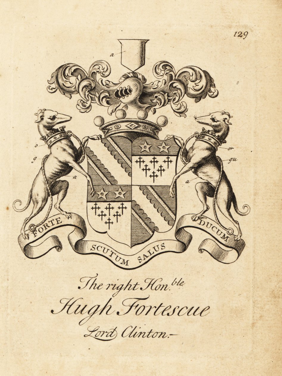 Coat of Arms of Hugh Fortescue by Andrew Johnston