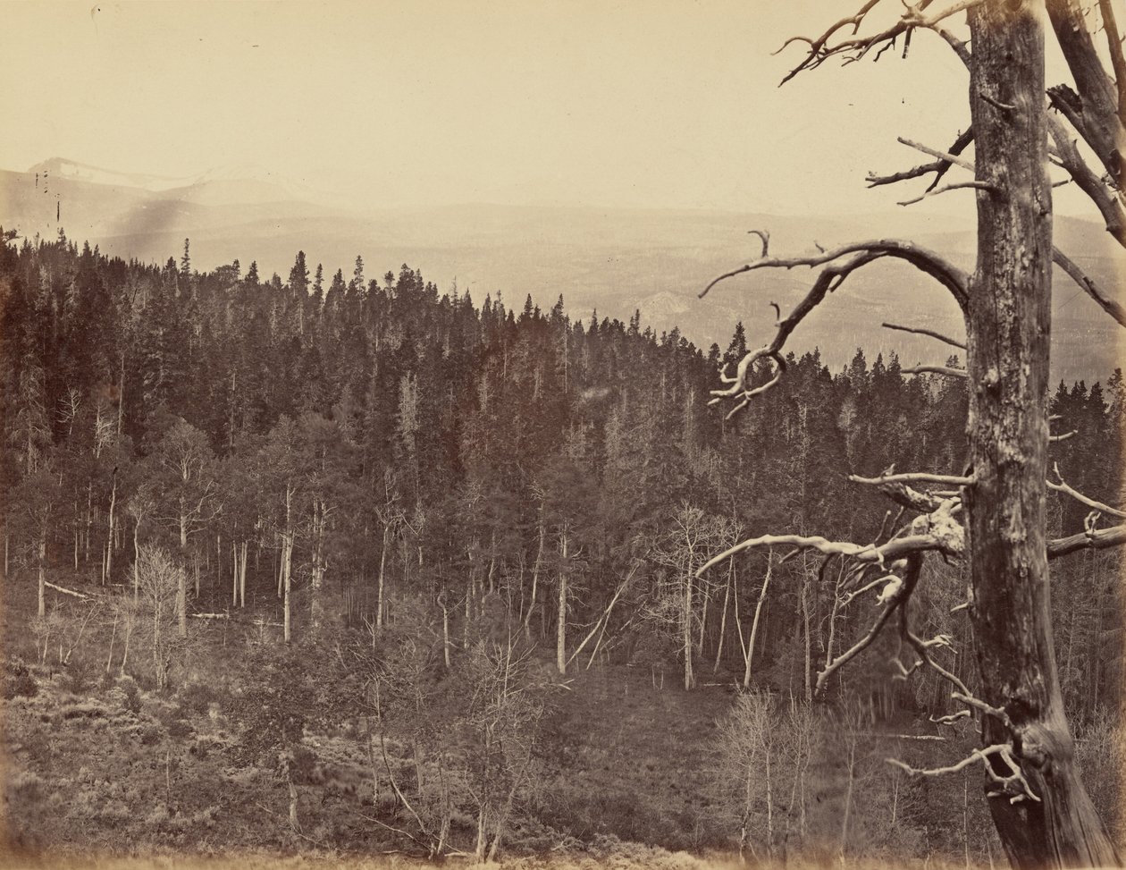 Plate 13. Snow and Timber Line, Laramie Mountains, 1869 by Andrew Joseph Russell