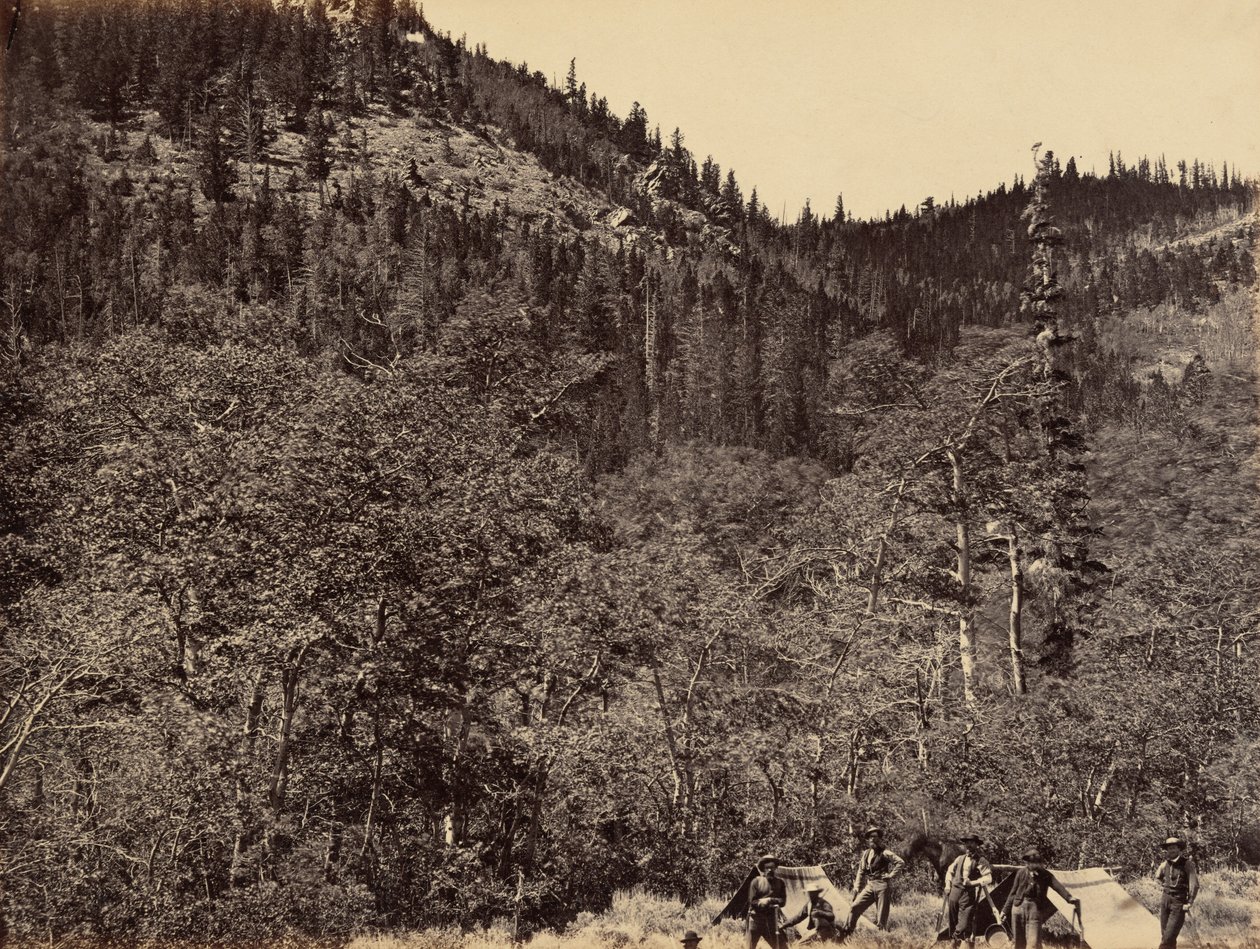 Plate 19. Among the Timber at Head of Little Laramie River, 1869 by Andrew Joseph Russell